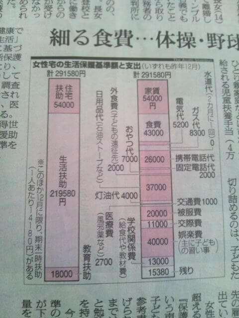 女性宅生活保護費291,580円の支出内訳