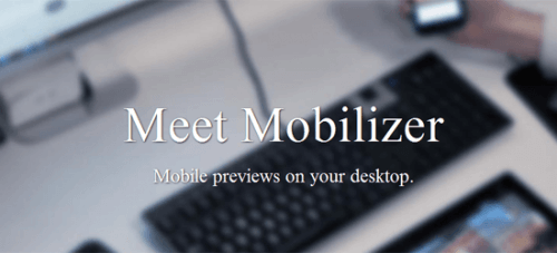 Mobilizer（モビライザー）