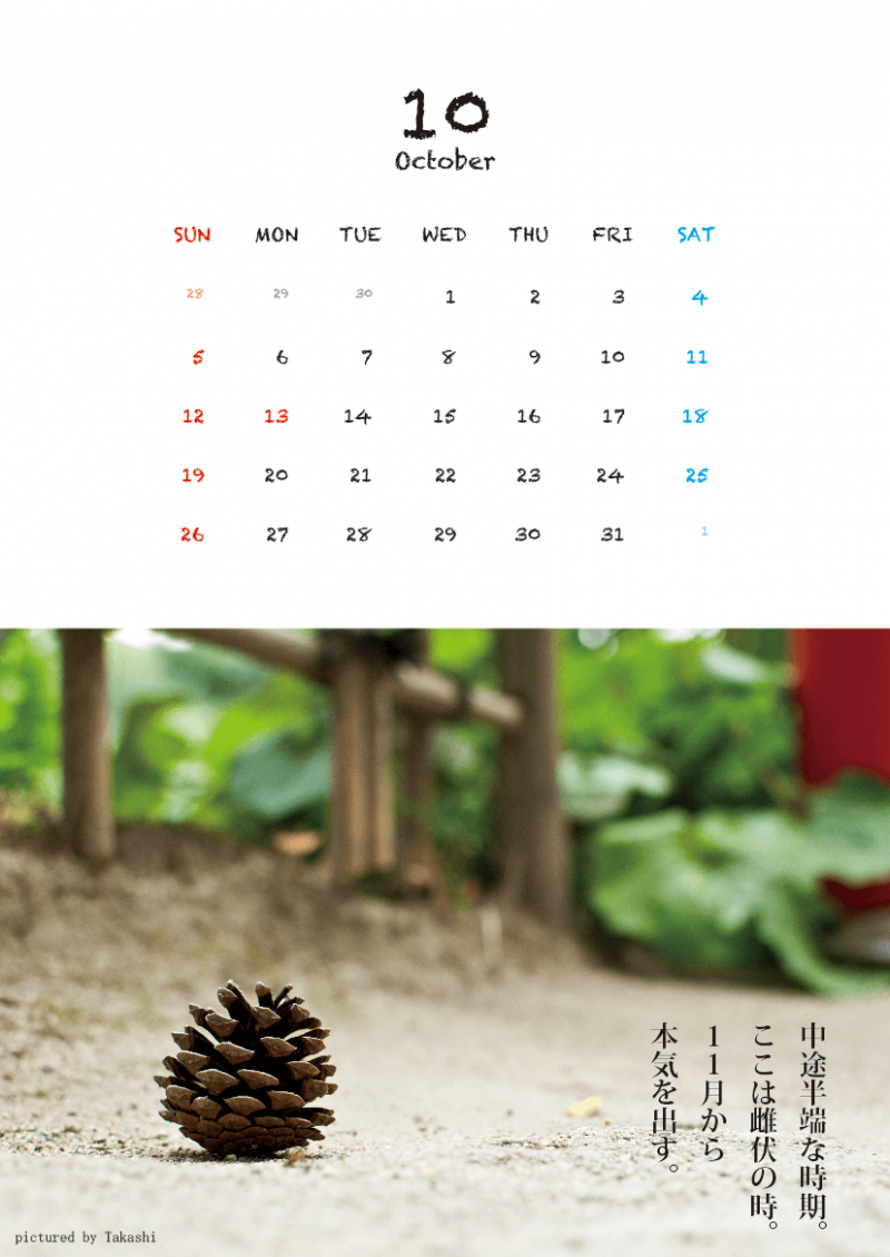 10月：「中途半端な時期。ここは雌伏の時。11月から本気出す。」