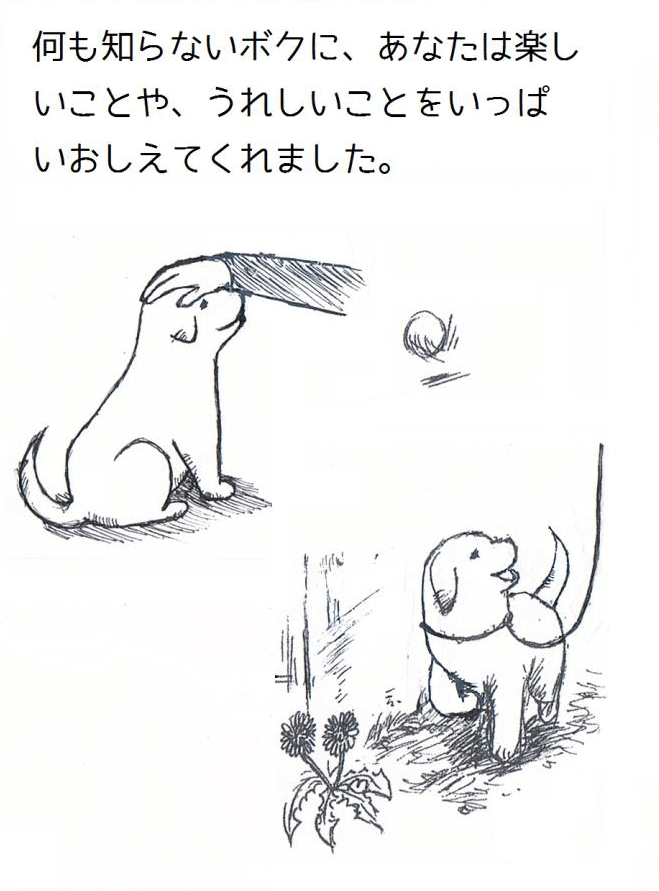 ある犬のおはなし