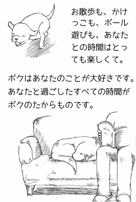 ある犬のおはなし