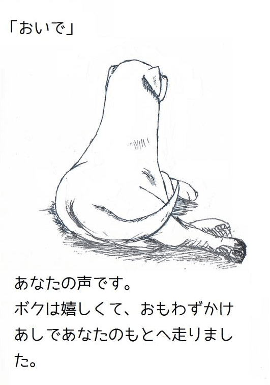 ある犬のおはなし