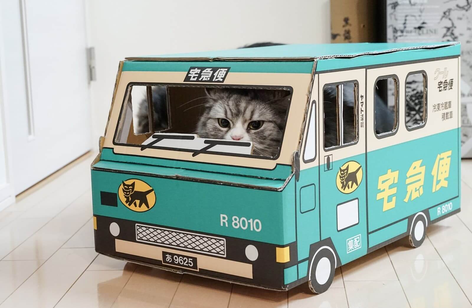 荷物をお届けにあがりましたー(猫)