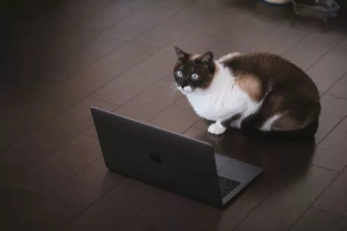 問題が発生したため、プログラムが正しく動作しなくなりました